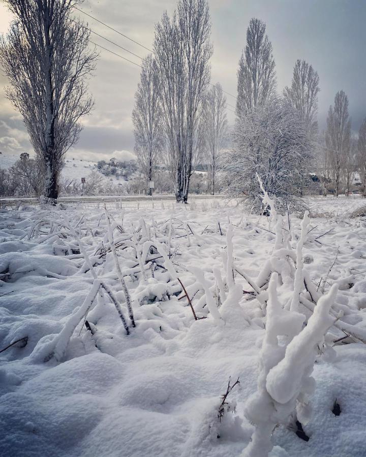 Titania Motel Oberon Zewnętrze zdjęcie